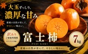 ＜訳あり 愛媛県産富士柿 合計約7kg＞『2026年11月上旬～12月下旬迄に順次出荷予定』かき 柿 ふじ柿 果物 くだもの フルーツ 旬 大玉 大きいサイズ 濃厚 秋の味覚 食べ応え抜群 特産品 株式会社OSN 愛媛県 西予市 【常温】