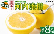 ＜【訳あり】愛媛県産 河内晩柑 約8kg＞『2026年4月上旬～8月下旬迄に順次発送予定』わけあり 訳アリ みずみずしい 和製グレープフルーツ かわちばんかん みかん 蜜柑 果物 くだもの フルーツ ミカン 愛媛 国産 特産品 株式会社三代目みかん職人 愛媛県 西予市【冷蔵】