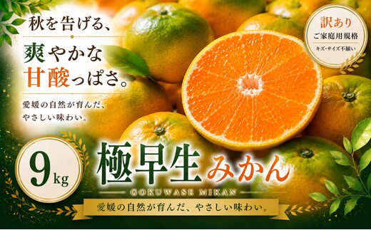 ＜訳あり 愛媛県産極早生みかん 合計約9kg＞『2026年9月下旬～11月上旬迄に順次出荷予定』ごくわせ ミカン 蜜柑 食感 甘い ご家庭用 果汁 果物 くだもの フルーツ オレンジ 柑橘 人気柑橘 特産品 株式会社OSN 愛媛県 西予市 【常温】