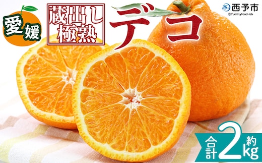 ＜蔵出し極熟デコ 約2kg＞『2027年4月上旬～8月下旬迄に順次発送予定』 でこぽん デコポン 不知火 しらぬい 熟成 くら 貯蔵 みかん 蜜柑 柑橘 かんきつ 果物 くだもの フルーツ ミカン 愛媛 国産 特産品 株式会社三代目みかん職人 愛媛県 西予市【冷蔵】