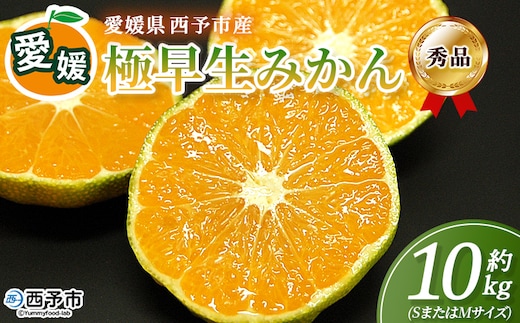 ＜愛媛産 秀品 極早生みかん（SまたはMサイズ）約10kg＞『2026年9月下旬から順次出荷予定』蜜柑 ミカン みかん 温州みかん 贈答用 ギフト 清見 西宇和 果物 フルーツ 柑橘 国産 愛媛県産 西予市産 特産品 丸二青果 愛媛県 西予市【常温】