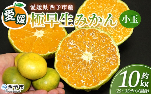 ＜愛媛産 小玉 極早生みかん（2S～3Sサイズ混合）約10kg＞『2026年9月下旬から順次出荷予定』蜜柑 ミカン みかん 温州みかん 温州ミカン 極早生 西宇和 果物 フルーツ 柑橘 国産 愛媛県産 西予市産 特産品 丸二青果 愛媛県 西予市【常温】