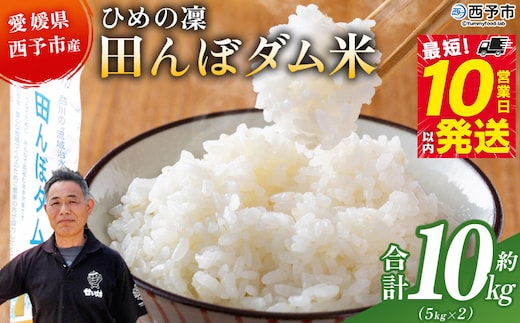 ＜令和8年産 愛媛県西予市産 ひめの凜 田んぼダム米 約10kg＞※最短10営業日以内に順次発送予定 特産品 キロ ひめのりん 西予応援米 宇和米 お米 コメ こめ 白米 精米 米 国産 愛媛県産 和みファーム 愛媛県 西予市【常温】