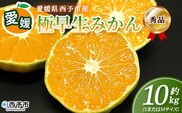 ＜愛媛産 秀品 極早生みかん（SまたはMサイズ）約10kg＞『2026年9月下旬から順次出荷予定』蜜柑 ミカン みかん 温州みかん 贈答用 ギフト 清見 西宇和 果物 フルーツ 柑橘 国産 愛媛県産 西予市産 特産品 丸二青果 愛媛県 西予市【常温】