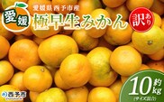 ＜愛媛産 訳あり 極早生みかん（サイズ混合）約10kg＞『2026年9月下旬から順次出荷予定』蜜柑 ミカン みかん 訳アリ ご家庭用 温州みかん 極早生 西宇和 果物 フルーツ 柑橘 国産 愛媛県産 西予市産 特産品 丸二青果 愛媛県 西予市【常温】
