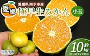 ＜愛媛産 小玉 極早生みかん（2S～3Sサイズ混合）約10kg＞『2026年9月下旬から順次出荷予定』蜜柑 ミカン みかん 温州みかん 温州ミカン 極早生 西宇和 果物 フルーツ 柑橘 国産 愛媛県産 西予市産 特産品 丸二青果 愛媛県 西予市【常温】