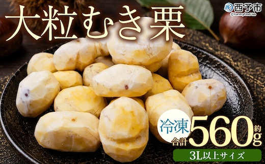＜大粒むき栗 約280g×2袋＞『9月中旬から順次出荷予定』 和栗 皮なし くり おおつぶ 大きい 幻の栗 甘い 新鮮 栗ごはん 栗きんとん 剥き栗 甘露煮 旬 国産栗 お取り寄せ 旬 特産品 国産 秋の味覚 真空パック 長期保存 皮むき不要 おせち 小屋敷農園【冷凍】
