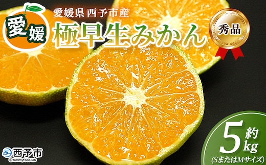 ＜愛媛産 秀品 極早生みかん（SまたはMサイズ）約5kg＞『2026年9月下旬から順次出荷予定』蜜柑 ミカン みかん 温州みかん 贈答用 ギフト 清見 西宇和 果物 フルーツ 柑橘 国産 愛媛県産 西予市産 特産品 丸二青果 愛媛県 西予市【常温】