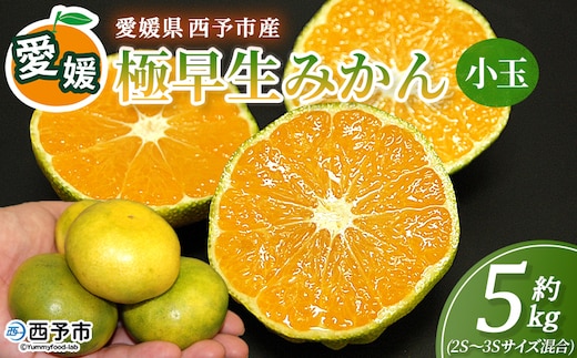 ＜愛媛産 小玉 極早生みかん（2S～3Sサイズ混合）約5kg＞『2026年9月下旬から順次出荷予定』蜜柑 ミカン みかん 温州みかん 温州ミカン 極早生 西宇和 果物 フルーツ 柑橘 国産 愛媛県産 西予市産 特産品 丸二青果 愛媛県 西予市【常温】