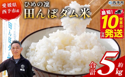 ＜令和8年産 愛媛県西予市産 ひめの凜 田んぼダム米 約5kg＞※最短10営業日以内に順次発送予定 特産品 キロ ひめのりん 西予応援米 宇和米 お米 コメ こめ 白米 精米 米 国産 愛媛県産 和みファーム 愛媛県 西予市【常温】