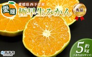 ＜愛媛産 秀品 極早生みかん（SまたはMサイズ）約5kg＞『2026年9月下旬から順次出荷予定』蜜柑 ミカン みかん 温州みかん 贈答用 ギフト 清見 西宇和 果物 フルーツ 柑橘 国産 愛媛県産 西予市産 特産品 丸二青果 愛媛県 西予市【常温】