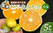 ＜愛媛産 小玉 極早生みかん（2S～3Sサイズ混合）約5kg＞『2026年9月下旬から順次出荷予定』蜜柑 ミカン みかん 温州みかん 温州ミカン 極早生 西宇和 果物 フルーツ 柑橘 国産 愛媛県産 西予市産 特産品 丸二青果 愛媛県 西予市【常温】