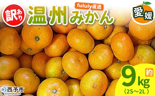 ＜fululy直送 温州みかん 訳あり 約4.5kg（2S〜2L）＞ ワケアリ サイズ混合 果物 フルーツ 蜜柑 うんしゅうみかん ウンシュウミカン 柑橘 家庭用 合同会社fululy 直送 愛媛県 西予市【常温】『2026年11月上旬～2026年12月中旬迄に順次出荷』