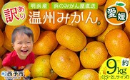 ＜訳あり 温州みかん 約9kg（2S〜2L）＞ 明浜産 果物 フルーツ 蜜柑 うんしゅうみかん ウンシュウミカン 柑橘 家庭用 浜のみかん屋 直送 愛媛県 西予市【常温】『2026年11月上旬～2026年12月中旬迄に順次出荷』