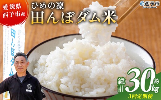 ＜令和8年産 愛媛県西予市産 ひめの凜 田んぼダム米 約10kg（定期便3回）＞『入金確認後、お申込み月の翌月より配送を開始します』 特産品 キロ ひめのりん 西予応援米 宇和米 お米 コメ こめ 白米 精米 米 国産 愛媛県産 和みファーム 愛媛県 西予市【常温】