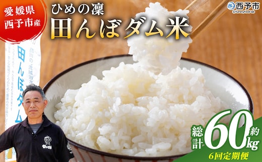 ＜令和8年産 愛媛県西予市産 ひめの凜 田んぼダム米 約10kg（定期便6回）＞『入金確認後、お申込み月の翌月より配送を開始します』 特産品 キロ ひめのりん 西予応援米 宇和米 お米 コメ こめ 白米 精米 米 国産 愛媛県産 和みファーム 愛媛県 西予市【常温】