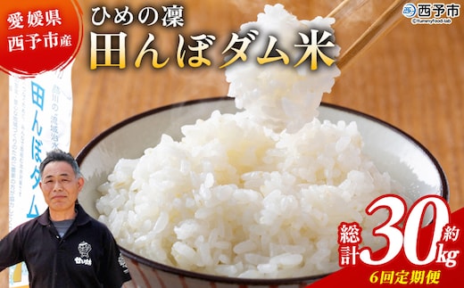＜令和8年産 愛媛県西予市産 ひめの凜 田んぼダム米 約5kg（定期便6回）＞『入金確認後、お申込み月の翌月より配送を開始します』 特産品 キロ ひめのりん 西予応援米 宇和米 お米 コメ こめ 白米 精米 米 国産 愛媛県産 和みファーム 愛媛県 西予市【常温】