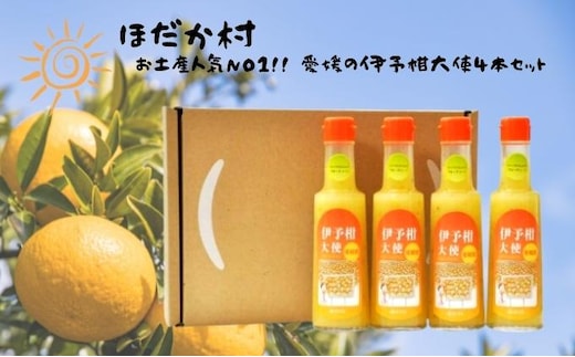 お土産人気NO1！！ 愛媛の伊予柑大使4本セット 調味料 ドレッシング サラダ いよかん 愛媛産 カルパッチョ 
