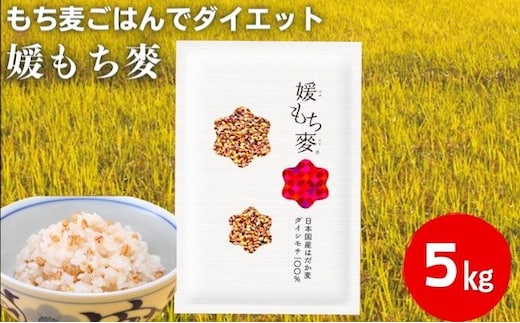 媛もち麥5kgセット＋押しはだか麦300g／もち麦 麦ごはん 雑穀 食物繊維豊富 食物繊維 もちもち プリプリ 食感 食品 食べ物 ご飯 おにぎり お弁当 主食 毎日 炭水化物 国産 日本産 愛媛県産 東温市産 直送 産地直送 