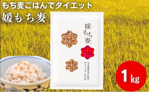 媛もち麥1kg／もち麦 麦ごはん 雑穀 食物繊維豊富 食物繊維 もちもち プリプリ 食感 食品 食べ物 ご飯 おにぎり お弁当 主食 毎日 炭水化物 国産 日本産 愛媛県産 東温市産 直送 産地直送 