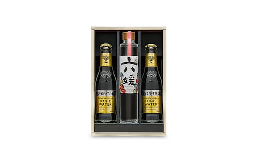 道後ジン 六媛・トニックセット（G6-200） お酒 晩酌 家飲み 宅飲み 愛媛県産素材 ボタニカル 華やかな香り 香ばしい香り キレ のかな甘み トニックウォーター 