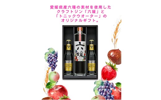 道後ジン 六媛・トニックセット（G6-500） お酒 晩酌 家飲み 宅飲み 愛媛県産素材 ボタニカル 華やかな香り 香ばしい香り キレ のかな甘み トニックウォーター 
