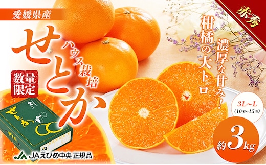 せとか ハウス栽培 赤秀 約3kg 果物類 みかん 柑橘 フルーツ 食後 デザート ジューシー 甘い コク 香り 国産 愛媛県産 愛媛県産せとか 