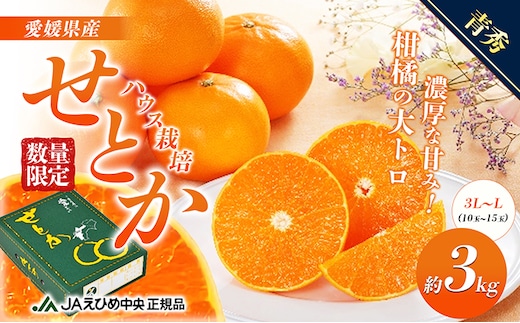 せとか ハウス栽培 青秀 約3kg 果物類 みかん 柑橘 フルーツ 食後 デザート ジューシー 甘い コク 香り 国産 愛媛県産 愛媛県産せとか 