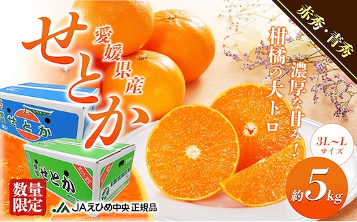 露地せとか 赤秀・青秀 約5kg 果物類 みかん 柑橘 フルーツ 食後 デザート ジューシー 甘い コク 香り 国産 愛媛県産 愛媛県産せとか 