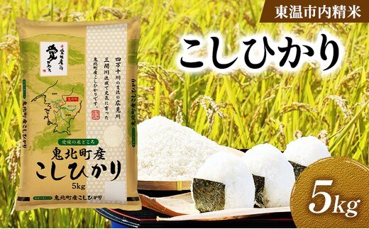 こしひかり 約5kg 東温市内精米 （鬼北町産生産者混合）数量限定 美味しい つや 高級 お米 5キロ 米 精米 白米 ブランド米 ご飯 ごはん 愛媛県 東温市