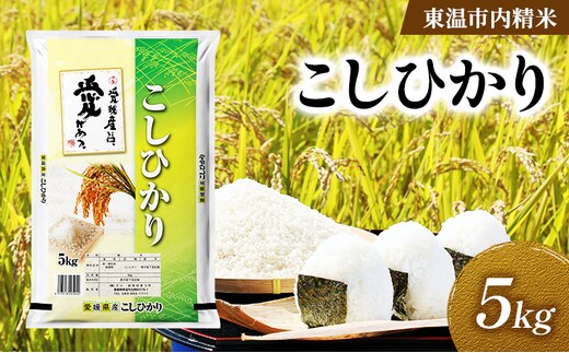 こしひかり 約5kg 東温市内精米 （愛媛県内産）数量限定 美味しい つや 高級 お米 5キロ 米 精米 白米 ブランド米 ご飯 ごはん 愛媛県 東温市