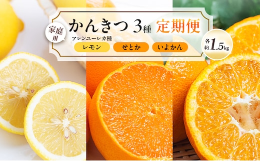 【 かんきつ 3種 定期便 】アレンユーレカ種 レモン ・ せとか ・ いよかん 各約1.5kg ご家庭用 サイズお任せ 旬 農園直送 産地直送 フルーツ 果物 くだもの 柑橘 愛媛県 東温市