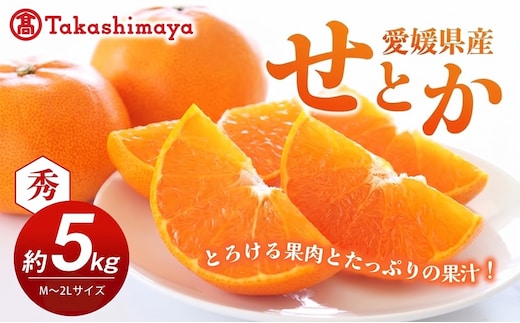 【数量限定 今季最終受付】愛媛県産せとか（露地）約5kg [50R0835]【高島屋選定品】秀M～２Lサイズ 2月中旬頃～順次発送＜旬 ギフト 高級 甘い みかん フルーツ＞[No.53030333]