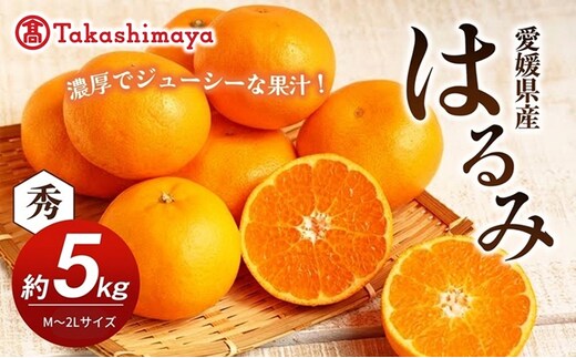 【数量限定 先行予約】愛媛県産 はるみ 約5kg[50R0824] 【高島屋選定品】秀M～２Lサイズ 1月下旬頃～順次発送＜ギフト 高級 甘い みかん フルーツ＞[No.53030335]