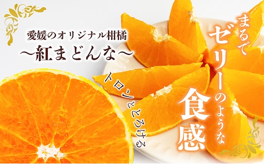 数量限定 先行予約】愛媛県産 紅まどんな2.7kg[50R0986]【高島屋選定品