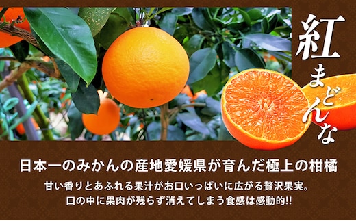 数量限定 先行予約】愛媛県産 紅まどんな2.7kg[50R0986]【高島屋選定品