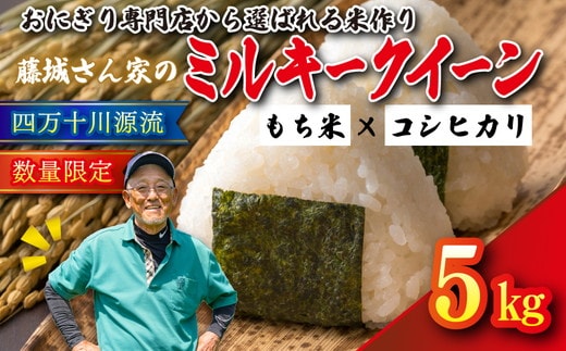【おにぎり専門店御用達！】藤城さん家のミルキークイーン5kg【令和8年産】 ｜ ご飯 白米 お米 5kg 令和8年 定期便 令和8年産 精米済み 愛媛県鬼北町 ※2026年9月～発送