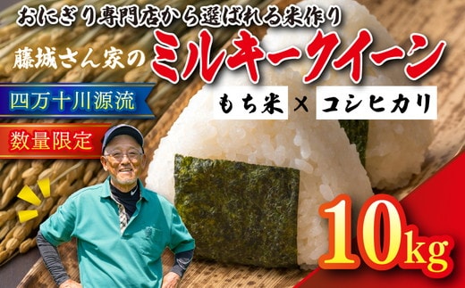 【おにぎり専門店御用達！】藤城さん家のミルキークイーン10kg【令和8年産】 ｜ ご飯 白米 お米 令和8年 定期便 令和8年産 10kg 精米済み 愛媛県鬼北町 ※2026年9月～発送