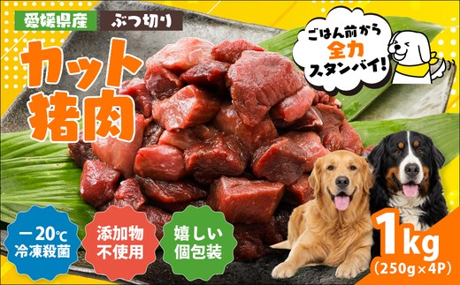 【愛犬用】カット猪肉（ぶつ切り）1kg（250g×4P）＜ペット ペットフード 犬 ワンちゃん個包装 餌 毎日 ジビエ 犬用 おやつ 猪肉 愛媛県産 鬼北町 ドッグフード 冷凍殺菌 特定非営利活動法人Cambio＞