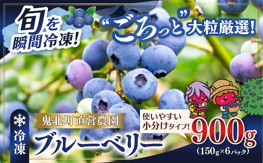【先行予約】【選別済み大粒】冷凍ブルーベリー900g（150g×6P） | 選別済み 大粒 国産 個包装 小分け 冷凍 鬼北町直営農園 果実 フルーツ 果物 くだもの 朝食 ヨーグルト 鬼北町役場 日吉支所 愛媛県 ※2026年8月～発送