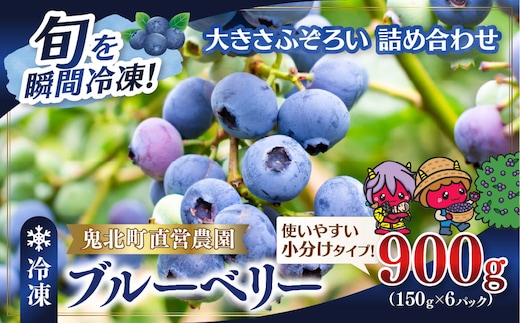 【先行予約】【大きさ形ふぞろい】冷凍ブルーベリー900g（150g×6P） | 無選別 不揃い 国産 個包装 小分け 冷凍 鬼北町直営農園 果実 フルーツ 果物 くだもの 朝食 ヨーグルト 鬼北町役場 日吉支所 愛媛県 ※2026年8月～発送