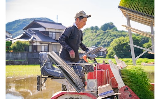 【2026年春収穫分】【先行予約】紅ほっぺ 4パック（約720g） | いちご イチゴ 苺 大福 ジャム タルト アイス ケーキ ギフト あかまつ農園 ※離島への配送不可 ※2026年2月中旬頃より順次発送予定