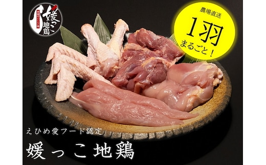 えひめ愛フード認定 「媛っこ地鶏」 1羽まるごと！ ＜肉 お肉 鶏肉 とり肉モモ ムネ ササミ 内臓 手羽元 手羽先 もも むね 胸 ささみ＞ ※着日指定不可
