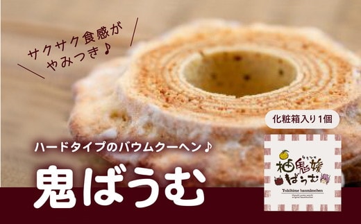 鬼バウムクーヘン ＜洋菓子 菓子 デザートスイーツ ケーキ ギフト お土産 ハード 愛媛県 鬼北町＞