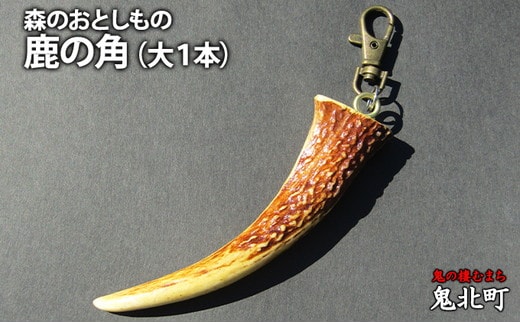 森のおとしもの(1)鹿の角（大1本）＜インテリア 民芸品 工芸品 オブジェ 天然 角 鹿 しか シカ 愛媛県 鬼北町＞