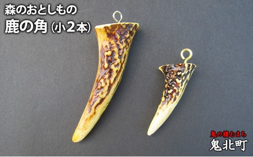 森のおとしもの(2)鹿の角（小2本）＜インテリア 民芸品 工芸品 オブジェ 角 鹿 しか シカ 愛媛県 鬼北町＞