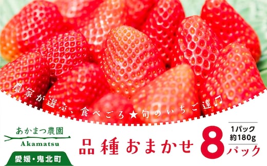 【2026年春収穫分】【先行受付】【品種お任せ】 いちご8パック｜レッドパール 紅い雫 紅ほっぺ かおり野 イチゴ 苺 フルーツ あかまつ農園 ※2026年2月中旬～3月中旬頃に発送予定
