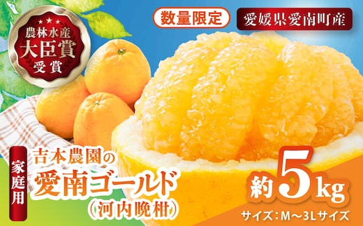 【先行予約】吉本農園の愛南ゴールド（河内晩柑）家庭用約5kg ＜柑橘 希少 果物 国産 フルーツ みかん 蜜柑 家庭用 和製 グレープフルーツ ブランド 果実 ビタミン 愛媛県 鬼北町 ＞ ※2026年4月上旬～8月上旬頃に順次発送予定