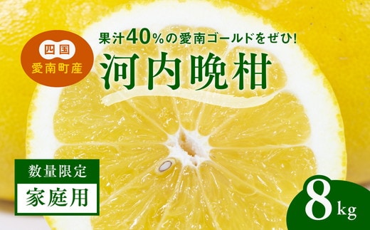 【先行予約】【家庭用】河内晩柑8kg ｜ 河内晩柑 訳あり 正品 贈答 柑橘 みかん 愛南ゴールド サイズミックス 規格外 ※2027年5月～発送
