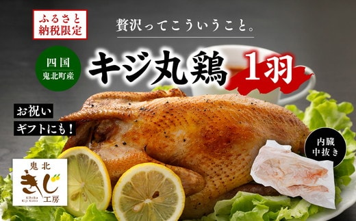＜ふるさと納税限定＞きじ丸鶏1羽（約900g） ◇ ｜ キジ肉 雉 きじ キジ ジビエ とり 鶏肉 パーティー ムネ モモ ササミ 秋 冬 熟成 加工品 愛媛県 鬼北町 ※離島への配送不可